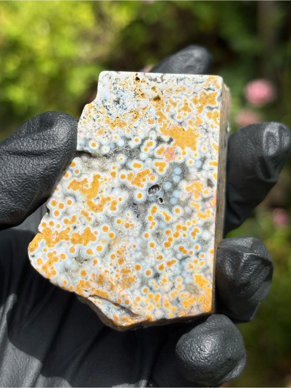Ocean Jasper Crystal Freeform - Orbicular Jasper - Sea Jasper - Polished